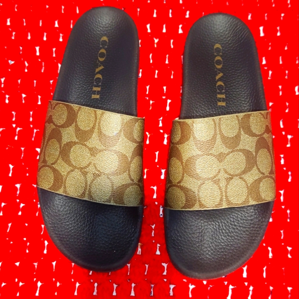 COACH slides